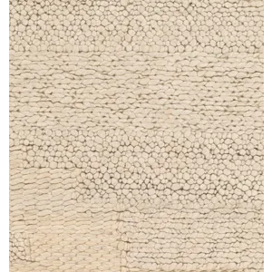 Aravalli 8' x 10' Rug
