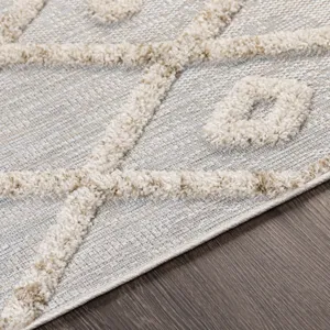 Toledo 5'3" x 7' Rug