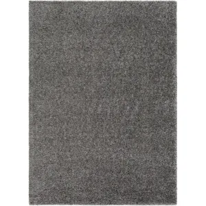 Deluxe shag 2' x 3' Rug