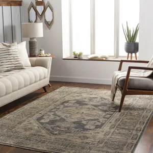 Reign 6' x 9' Rug