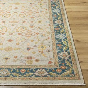 Soumek 4' x 6' Rug