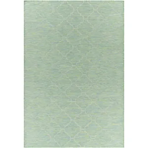 Pasadena 2'6" x 4' Rug