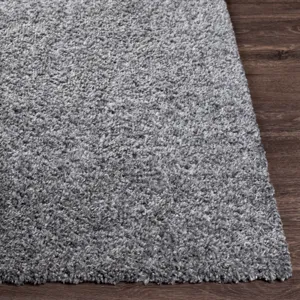 Deluxe shag 4'3" x 5'7" Rug