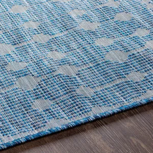 Pasadena 5'1" x 7' Rug