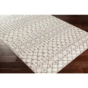 Chester 6'7" x 9' Rug