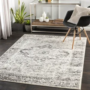 Pisa 6'7" x 9' Rug