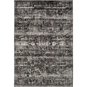 Paramount 6'7" x 9'6" Rug