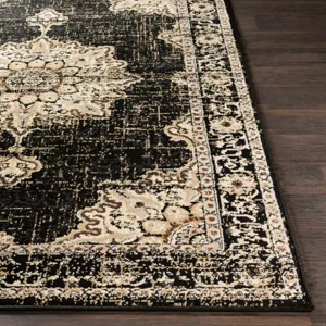 Paramount 8'10" x 12'10" Rug