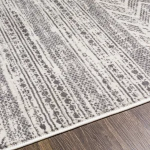 Roma 5'3" x 7'1" Rug