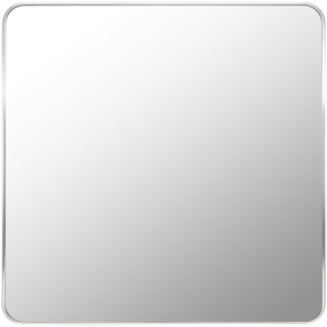 Aranya Mirror