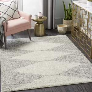 Taza shag 6'7" x 9' Rug