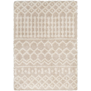 Urban Shag Rug