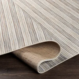 Pasadena 2'7" x 7'3" Rug