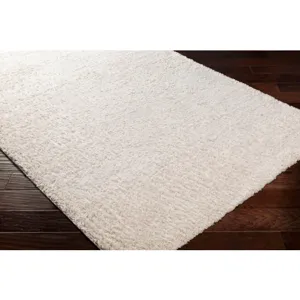 Deluxe shag 2' x 3' Rug
