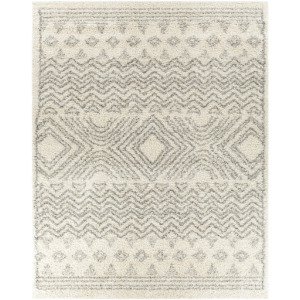 Taza shag Rug