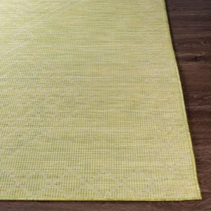 Pasadena 5'1" x 7' Rug