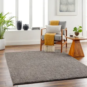 Alfombra 3'11" x 5'11" Rug