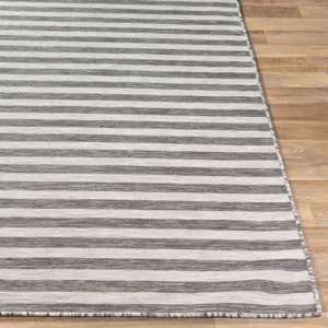Pasadena 2'7" x 4'11" Rug