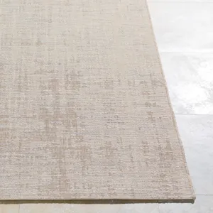 Santa Cruz 3'11" x 5'7" Rug