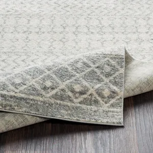 Elaziz 2'7" x 12' Rug
