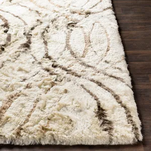 Corsair 2' x 3' Rug