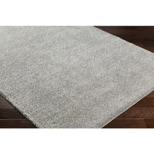 Alfombra 5'3" x 7' Rug