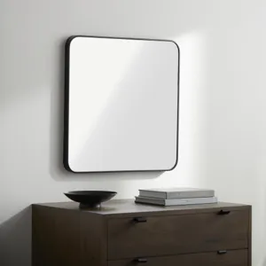 Aranya Mirror