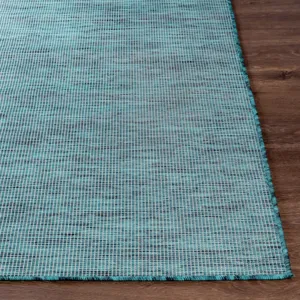 Pasadena 2'6" x 7'3" Rug