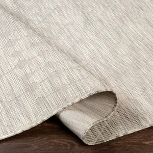 Pasadena 5'1" x 7' Rug