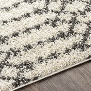 Taza shag 7'10" x 10' Rug