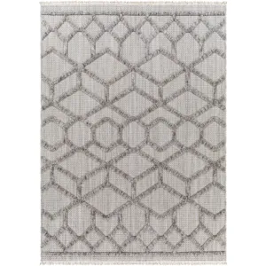 Zaragoza 7'10" x 10' Rug