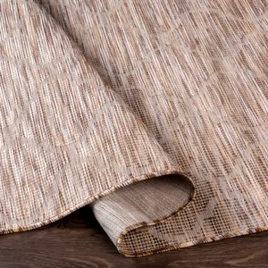 Pasadena 2'6" x 4' Rug