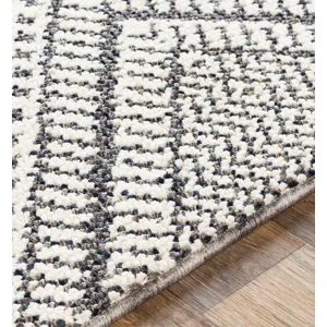 Ariana 2'3" x 3'9" Rug