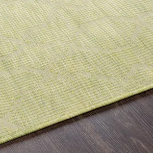 Pasadena 5'1" x 7' Rug