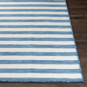 Pasadena 2'7" x 4'11" Rug