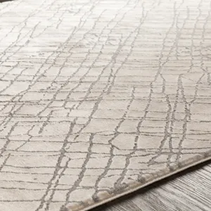 Tibetan 9'2" x 12'4" Rug