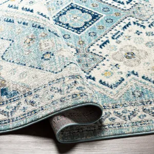 Tevazu 6'7" x 9' Rug