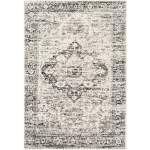 Pisa 6'7" x 9' Rug
