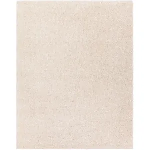 Deluxe shag 9' x 12' Rug