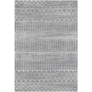 Harput 2' x 3' Rug