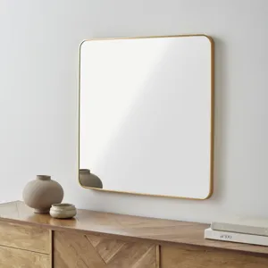 Aranya Mirror