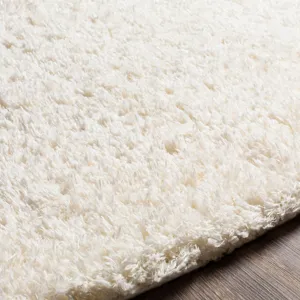 ang2304-texture.jpg