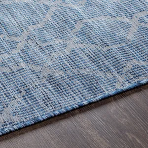 Pasadena 2'6" x 7'3" Rug