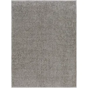 Alfombra 3'3" x 5' Rug