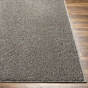 Alfombra 3'11" x 5'11" Rug