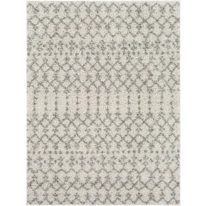 Taza shag 6'7" x 9' Rug