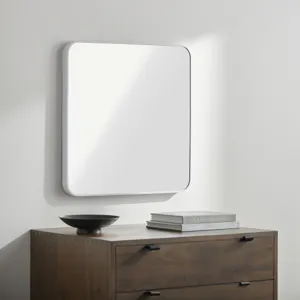 Aranya Mirror