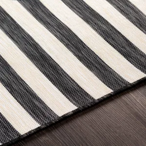 Pasadena 2'7" x 4'11" Rug