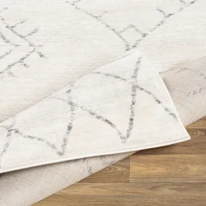 Roma 7'10" x 10' Rug