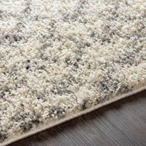 Taza shag 6'7" x 9' Rug